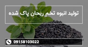 تولید انبوه تخم ریحان پاک شده