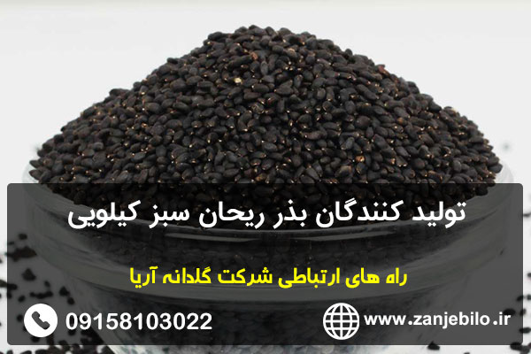 تولید کنندگان بذر ریحان سبز کیلویی
