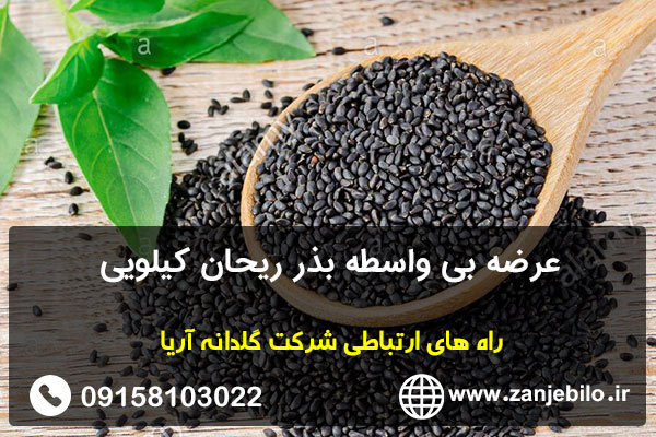 عرضه بی واسطه بذر ریحان کیلویی
