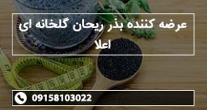 عرضه کننده بذر ریحان گلخانه ای اعلا