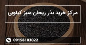 مرکز خرید بذر ریحان سبز کیلویی