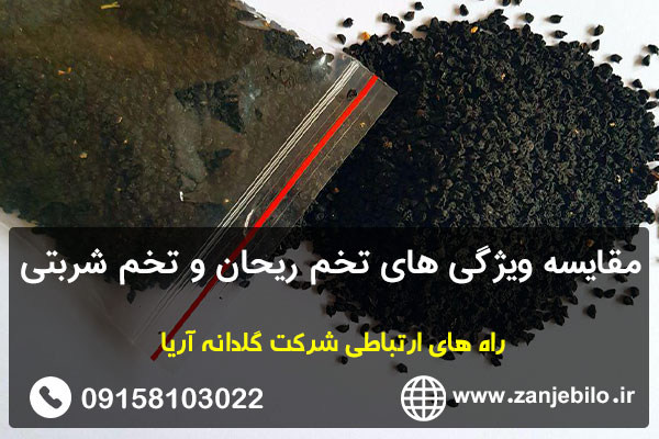 مقایسه ویژگی های تخم ریحان و تخم شربتی