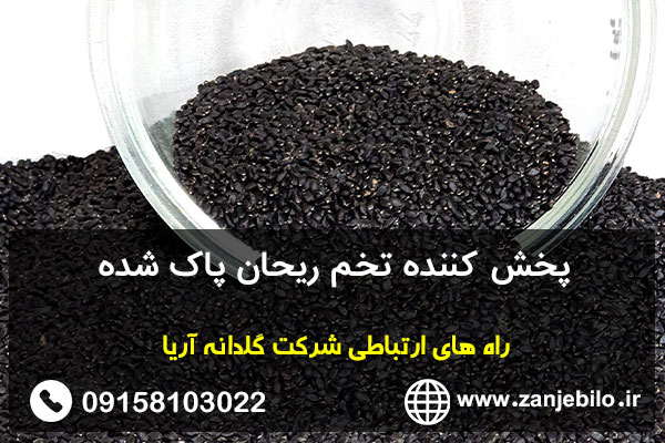 پخش کننده تخم ریحان پاک شده