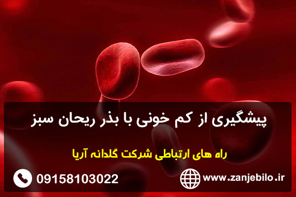 پیشگیری از کم خونی با بذر ریحان سبز