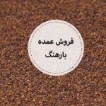 قیمت فروش تخم بارهنگ