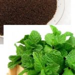 بارهنگ برای گوارش