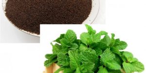 بارهنگ برای گوارش