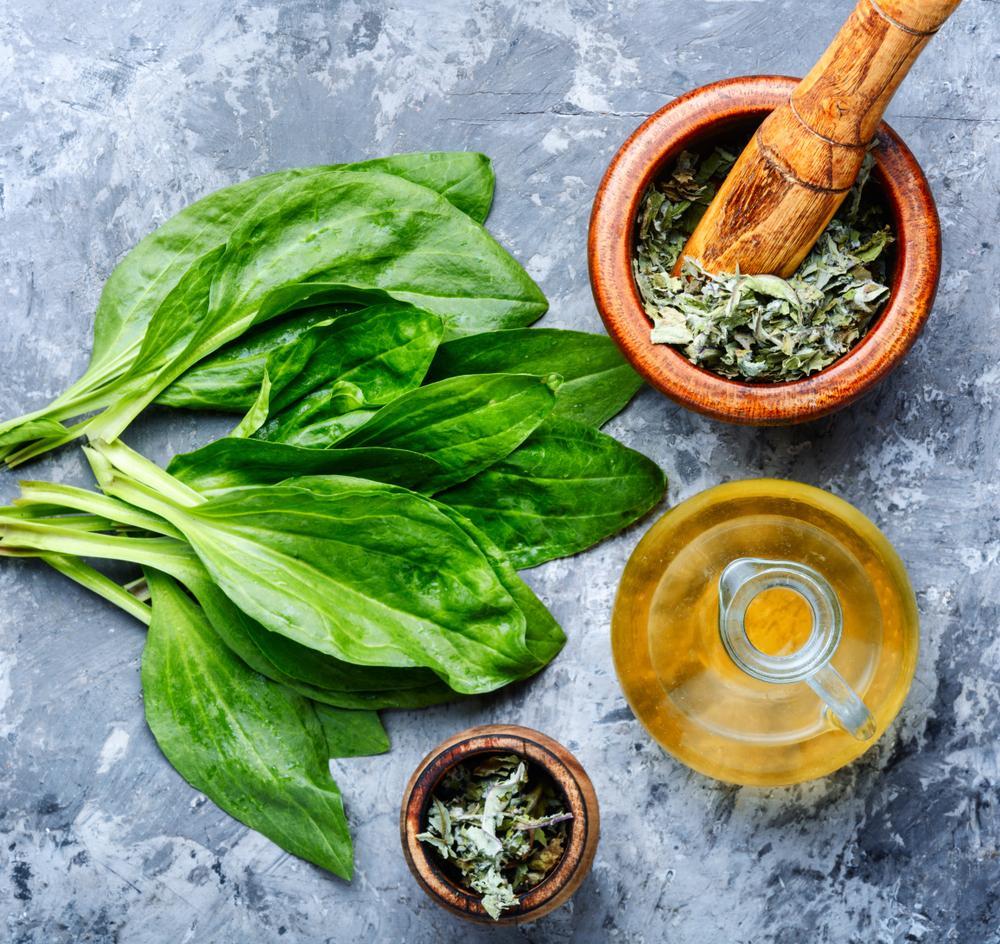 بارهنگ برای پاکسازی کبد