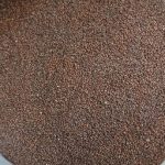 خرید تخم بارهنگ