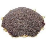 خرید تخم بارهنگ