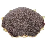 تخم بارهنگ عمده