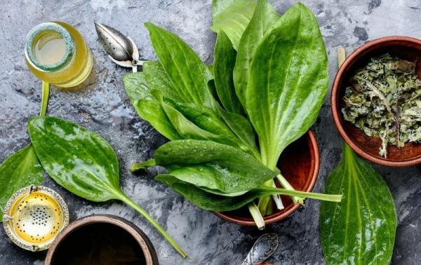 قیمت روز تخم بارهنگ