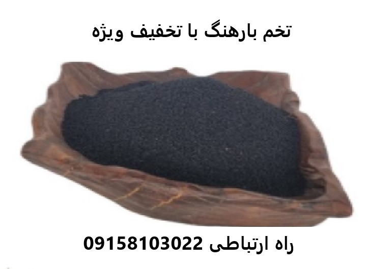 فروش عمده تخم بارهنگ