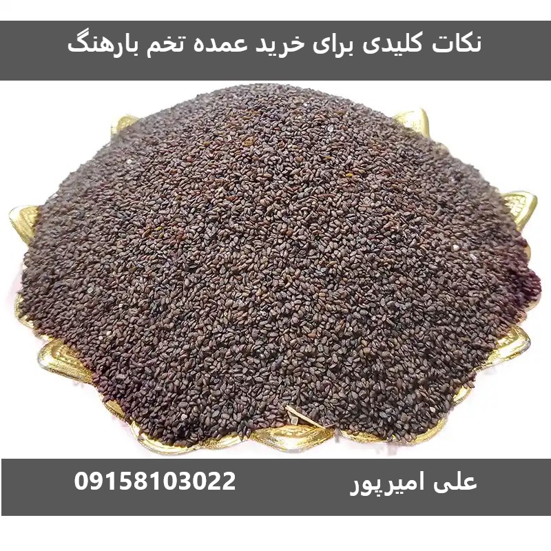 تأمین تخم بارهنگ