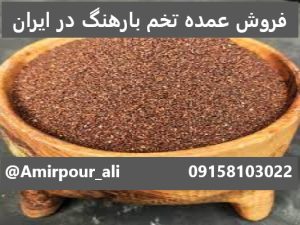 فروش عمده تخم بارهنگ