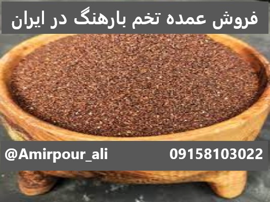 فروش عمده تخم بارهنگ