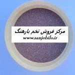 بهترین مراکز فروش عمده تخم بارهنگ