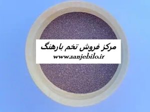 بهترین مراکز فروش عمده تخم بارهنگ