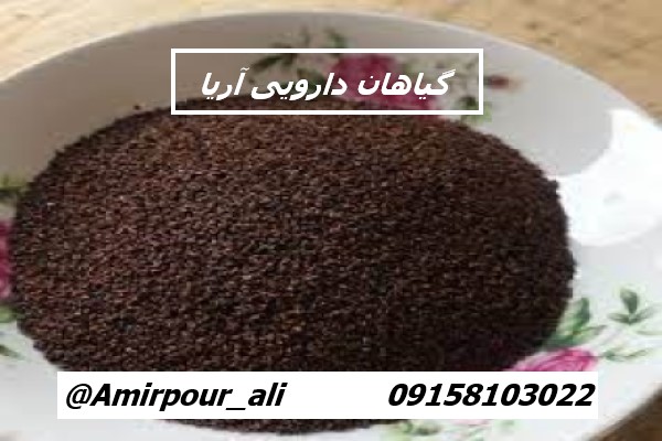 تخم بارهنگ عمده