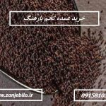 خرید عمده تخم بارهنگ