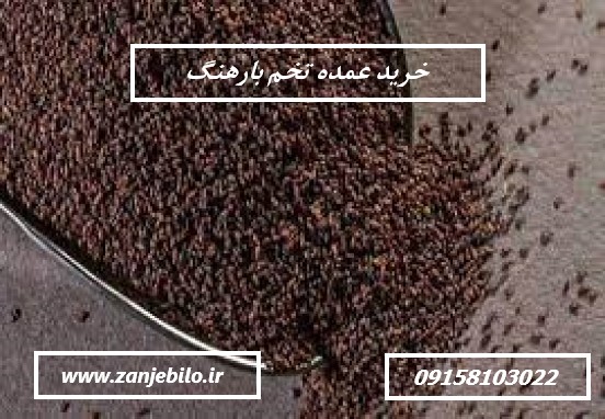 خرید عمده تخم بارهنگ