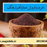 تخم بارهنگ عمده