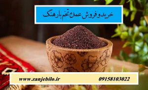 تخم بارهنگ عمده