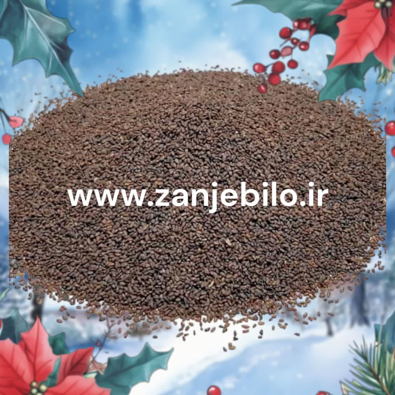 مشاوره خرید عمده تخم بارهنگ