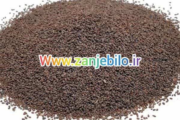 فروش تخم بارهنگ