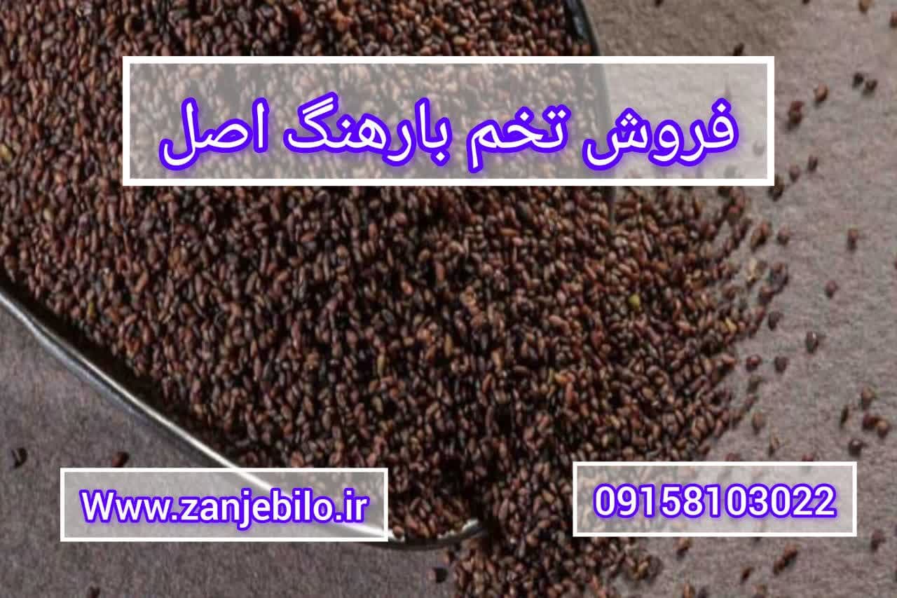 فروش تخم بارهنگ اصل