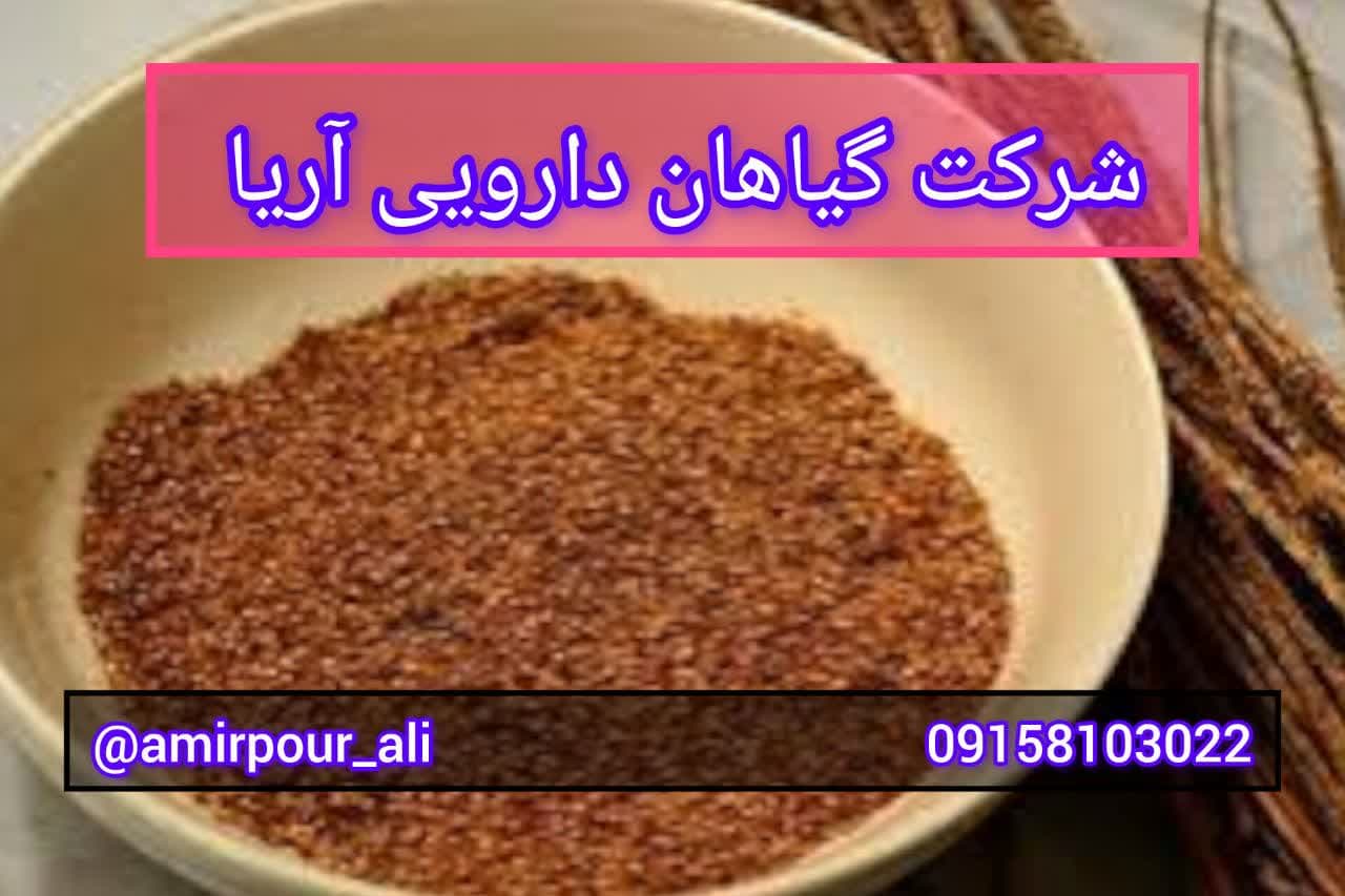 تخم بارهنگ اعلا