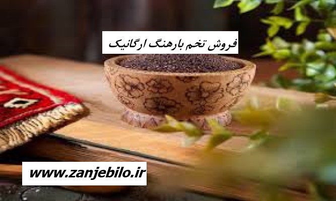 فروش بارهنگ ارزان