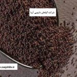 تخم بارهنگ ارگانیک