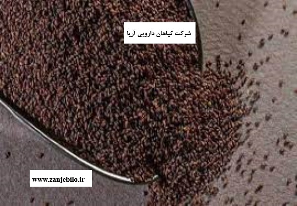 تخم بارهنگ ارگانیک