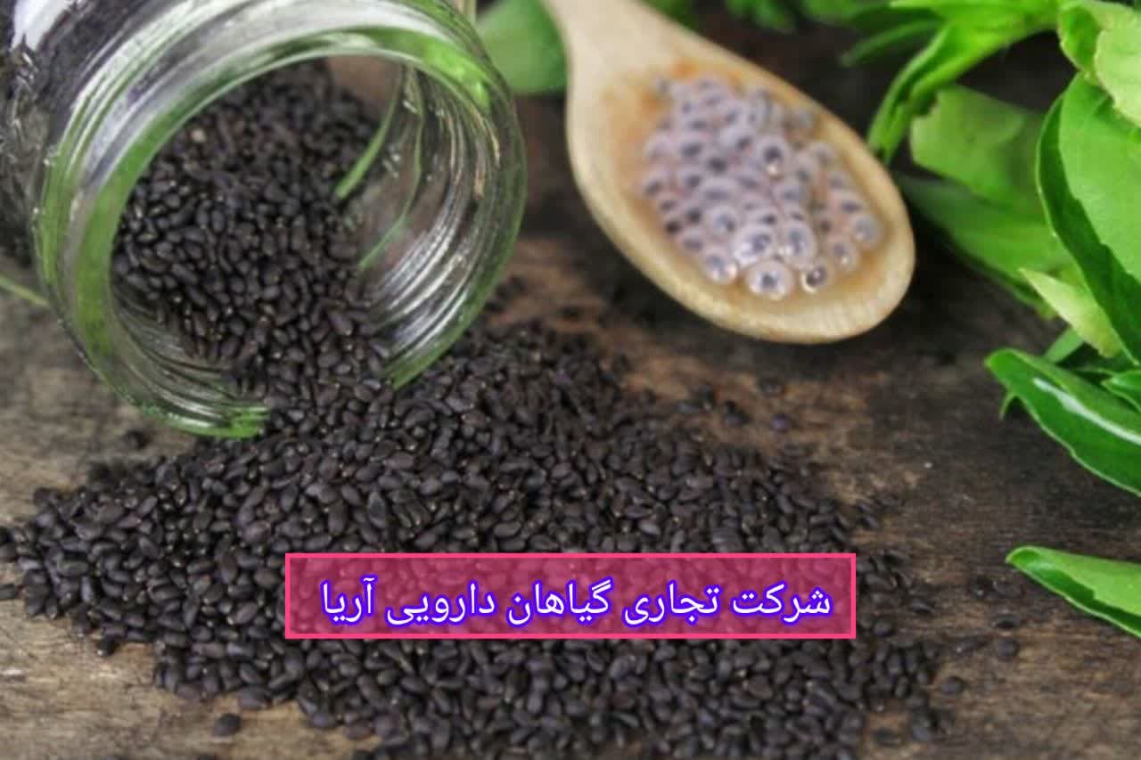 تخم ریحان