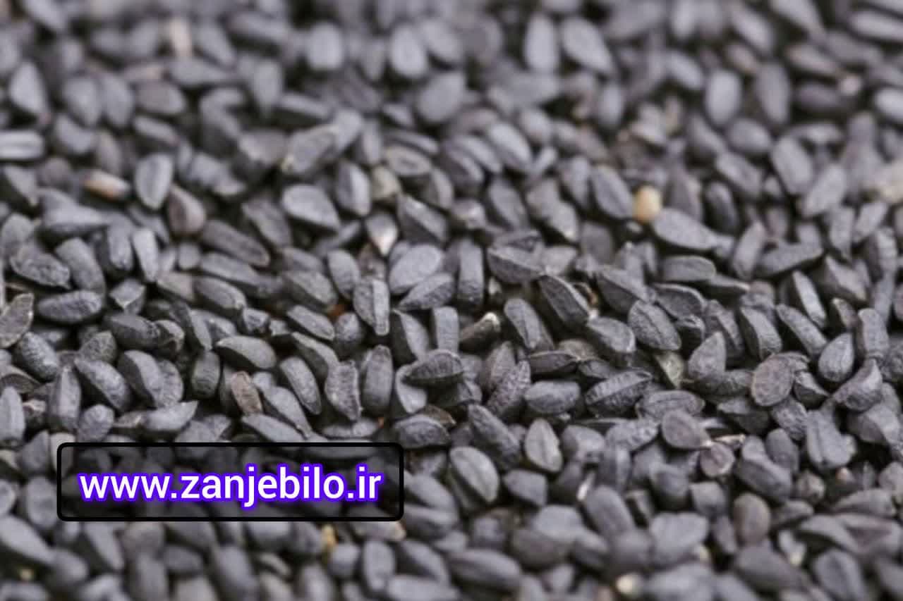 تخم ریحان سبز