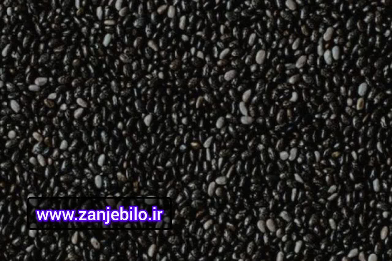 فروش بذر ریحان