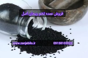 فروش عمده تخم ریحان اصل
