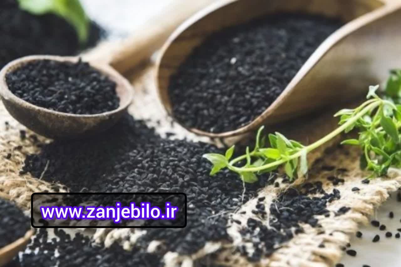 تولید کننده تخم ریحان