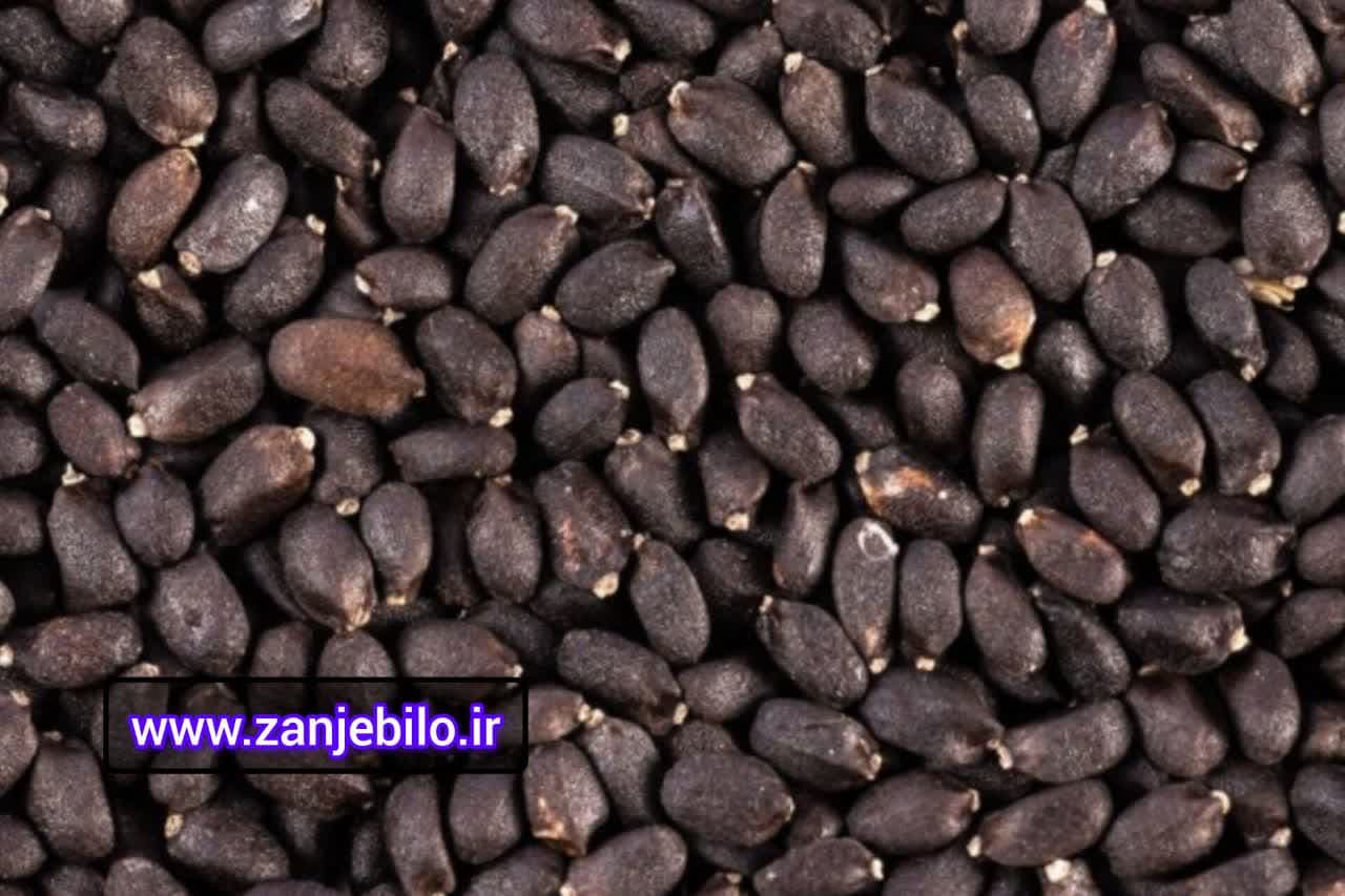 تخم ریحان عمده