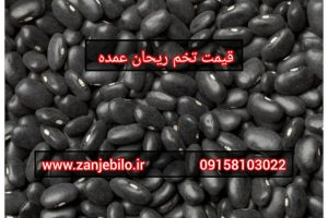قیمت عمده تخم ریحان فله ای
