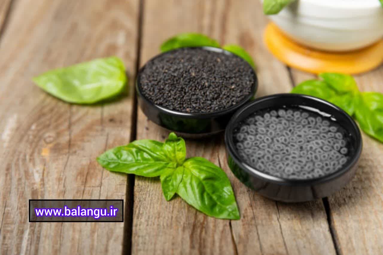 تخم شربتی افغانی