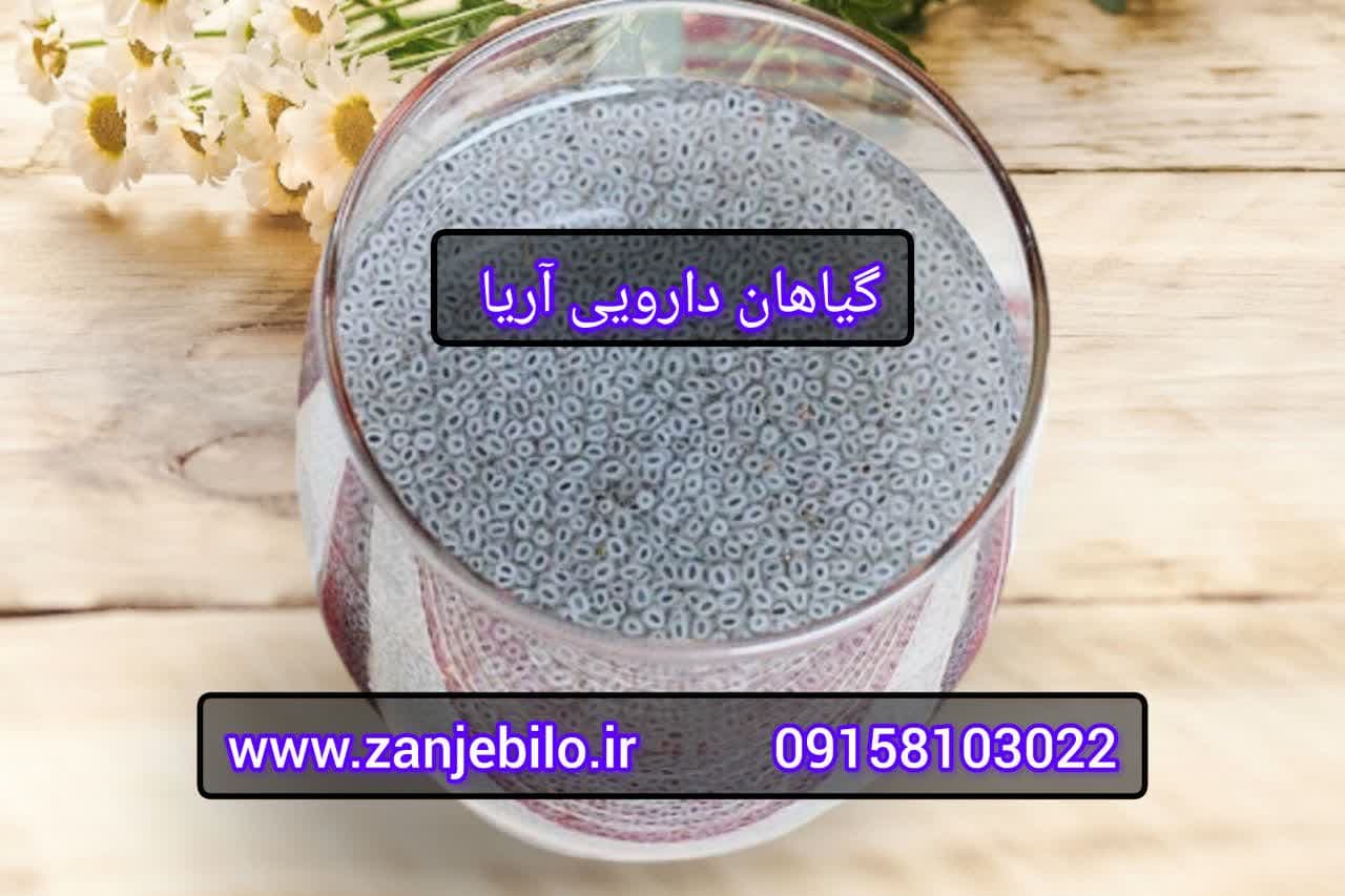 خرید مستقیم تخم ریحان