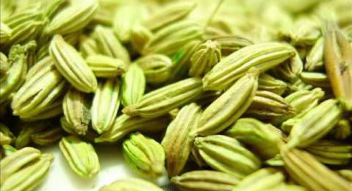 637377018954541401_lg